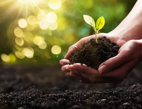 The Role of Public Relations in Raising Awareness about the Soil Crisis